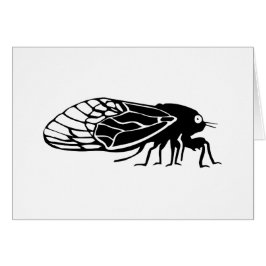 Cicadas - Cigales - Magicadas - Summer Buzz