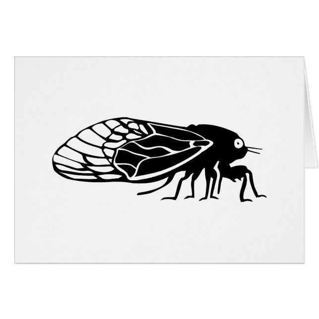 Cicadas - Cigales - Magicadas - Summer Buzz (Voorkant Horizontaal)