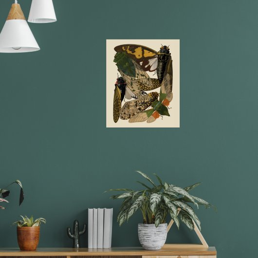 Cicadas Insects Vintage 1929 Illustrations Poster (Woonkamer 1)