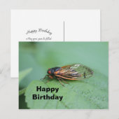 Cicade Foto Verjaardag Briefkaart (Voorkant / Achterkant)