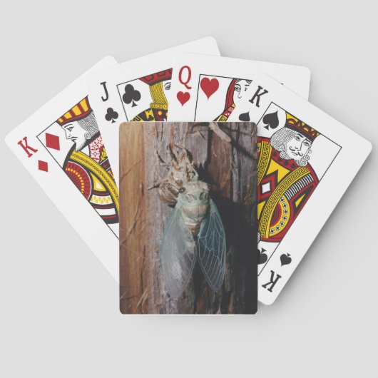 Cicade Pokerkaarten (Achterkant)