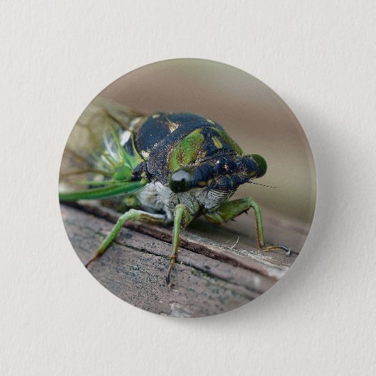 Cicade Ronde Button 5,7 Cm (Voorkant)