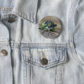 Cicade Ronde Button 5,7 Cm (In situ)