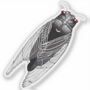 Cicade Sticker