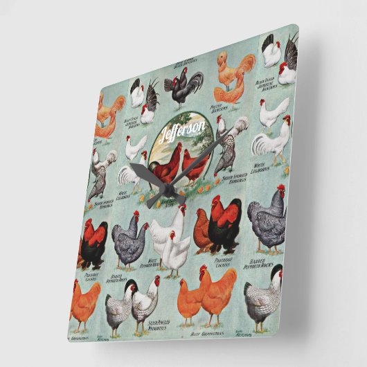 cichenkuiken vierkante klok (Hoek)