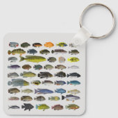 Cichlid Fish GroupKeychain Sleutelhanger (Achterkant)