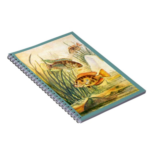 Cichlid Fish Notitieboek (Rechterzijde)