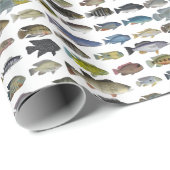 Cichlid Group Cadeaupapier (Rol Hoek)