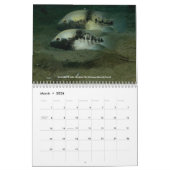 Cichlids of Mexico Kalender (Mar 2026)