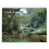 Cichlids of Mexico Kalender (Hoes)