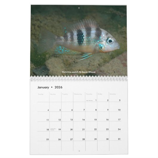 Cichlids of Mexico Kalender (Jan 2026)