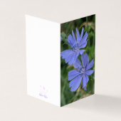 Cichorei Bloem Vouwkaart Kaart (Buitenkant)