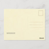 cichorei briefkaart (Achterkant)