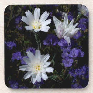 Cichorei en Phacelia wilde bloemen Onderzetter