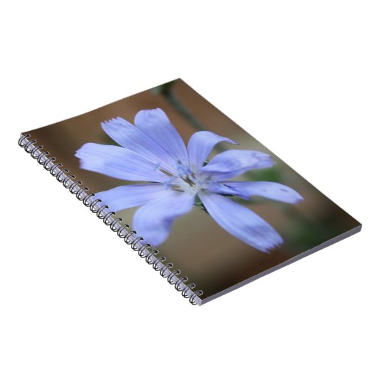 cichorei notitieboek (Rechterzijde)