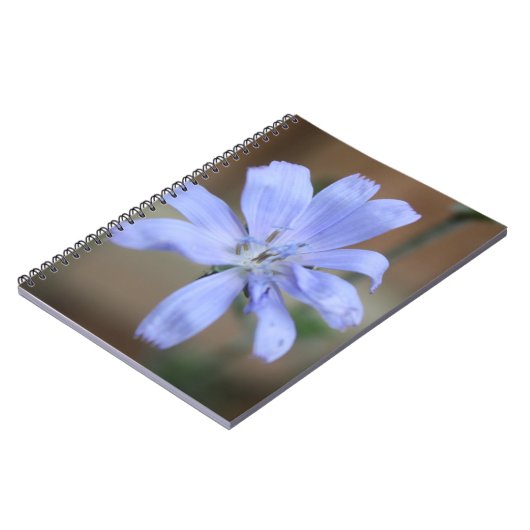 cichorei notitieboek (Linkerzijde)