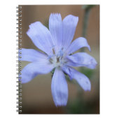 cichorei notitieboek (Voorkant)