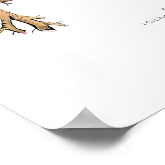 cichorei poster (Hoek)