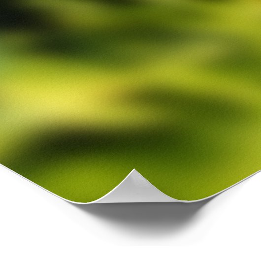 cichoreibloem poster (Hoek)