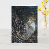 Ciculaire opening in een ijkruimte kaart (Gele Bloem)