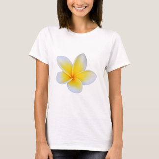 Cicy Bell Dames Casual T-shirt met Korte Mouwen –