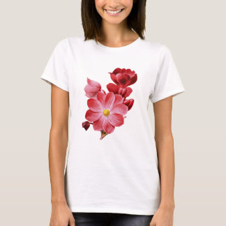Cicy Bell Dames T-shirt met korte mouwen - Zachte