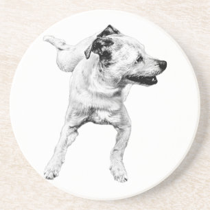 Cider tafel, vrolijke draai zandsteen onderzetter