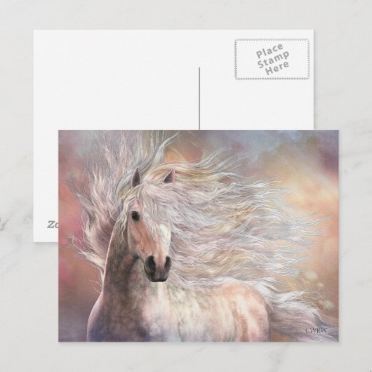 Cielo Briefkaart (Voorkant / Achterkant)