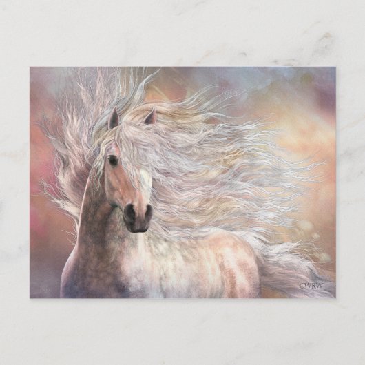 Cielo Briefkaart (Voorkant)