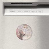 Cielo Magnet (Insitu (Vaatwasser))