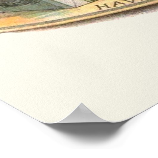 Cigar Box Gnomen Poster (Hoek)