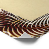  Cigar Box Labels Posters (Hoek)