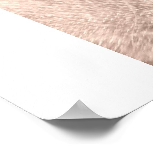 Cigar II Poster (Hoek)