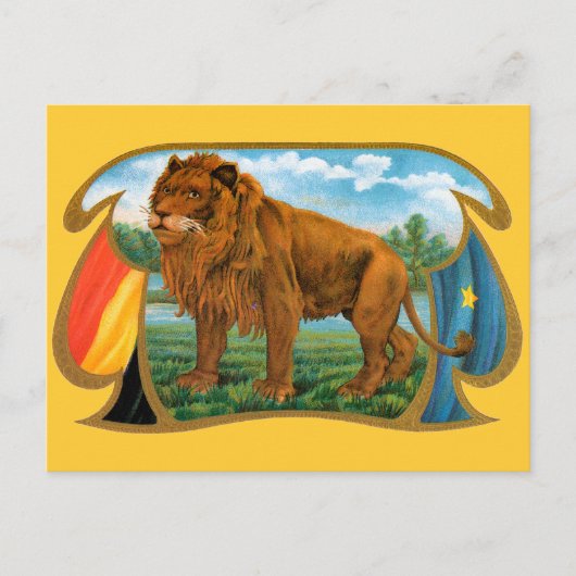  Cigar Label Art, Afrikaanse leeuw in Savannah Briefkaart (Voorkant)