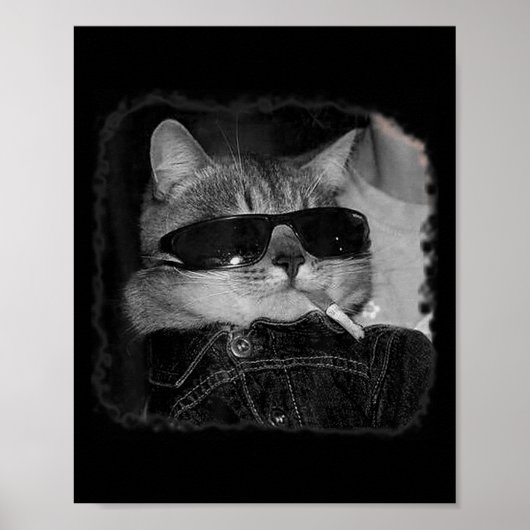 Cigarette Kitten Bende Kat Roken Sigaret Grappig Poster (Voorkant)