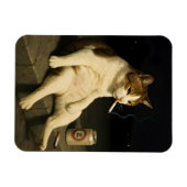 Cigarette Kitten Funny Smoking Cat Gen Z Meme Magneet (Horizontaal)