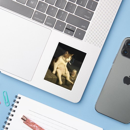Cigarette Kitten Funny Smoking Cat Gen Z Meme Sticker (Laptop met iPhone)