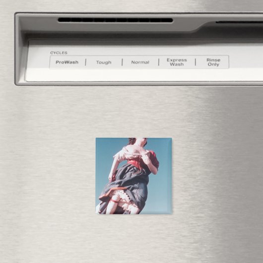 Cijfer van het onbekende zeilschip magneet (Insitu (Vaatwasser))