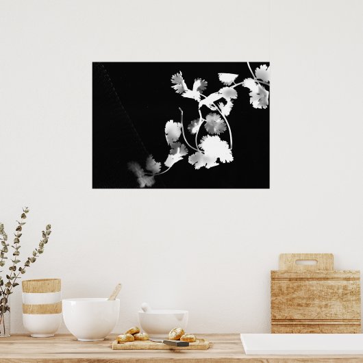 Cilantro-fotogram Poster (Keuken)