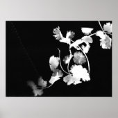 Cilantro-fotogram Poster (Voorkant)