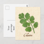 Cilantro Herb Briefkaart aanpassen (Voorkant / Achterkant)