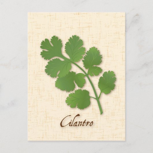 Cilantro Herb Briefkaart aanpassen (Voorkant)