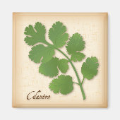 Cilantro Herb Magneet (Voorkant)