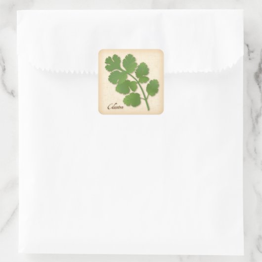 Cilantro Herb Square Sticker (Tas)