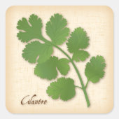 Cilantro Herb Square Sticker (Voorkant)