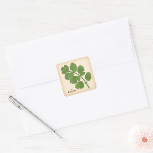 Cilantro Herb Square Sticker (Envelop)