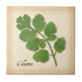 Cilantro Herb Tegeltje (Voorkant)