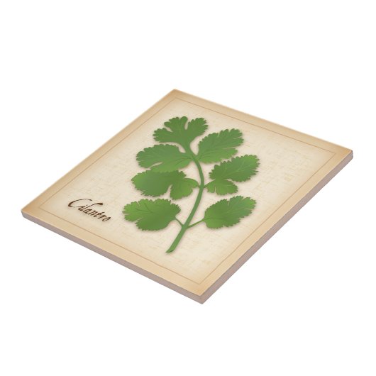 Cilantro Herb Tegeltje (Zijkant)