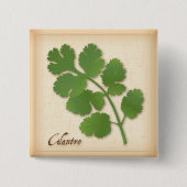 Cilantro Herb Vierkante Button 5,1 Cm (Voorkant)