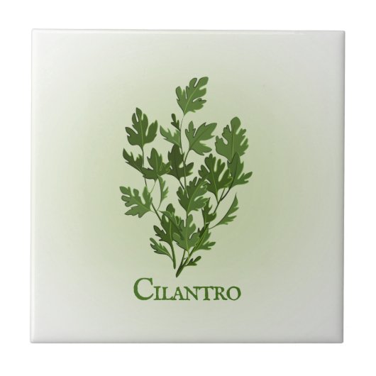 Cilantro Herbal Design Ceramic Tegel Tegeltje (Voorkant)